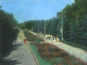 ���� ������